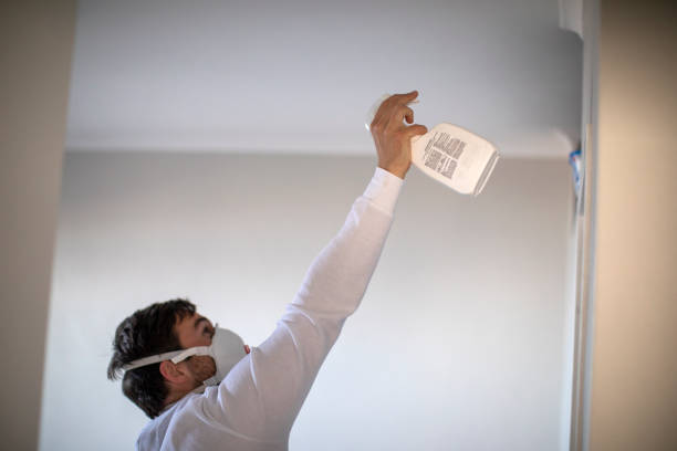Best Home Mold Removal  in Ava, MO
